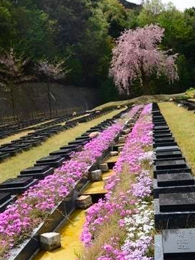 樹木葬　京都